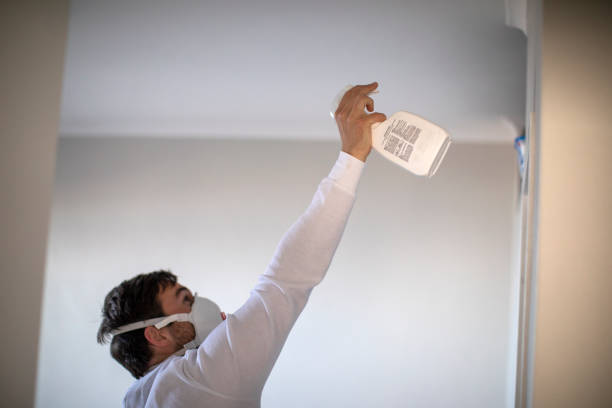 Best Emergency Mold Removal  in Caribou, ME