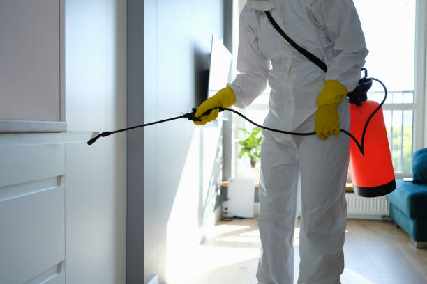 Best Crawl Space Mold Removal  in Caribou, ME