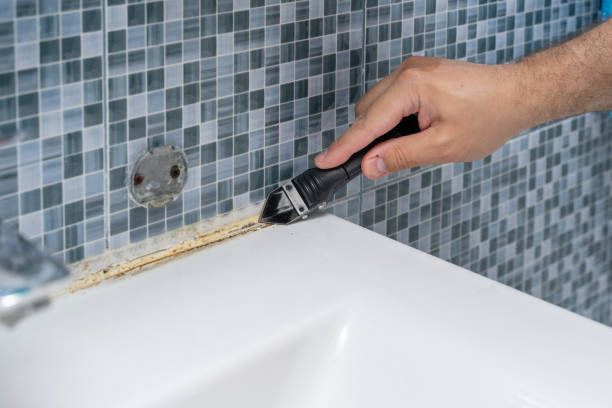 Best Fast Mold Removal  in Caribou, ME