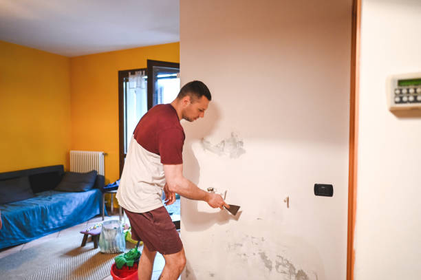 Mold Removal and Inspection in Caribou, ME