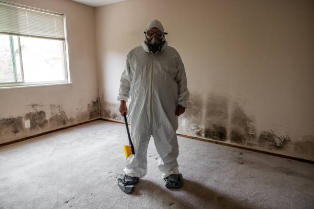Best Mold Cleaning Services  in Caribou, ME